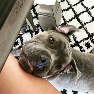 Meet your Posher, Rita